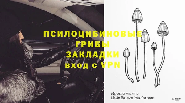 a pvp Алексин