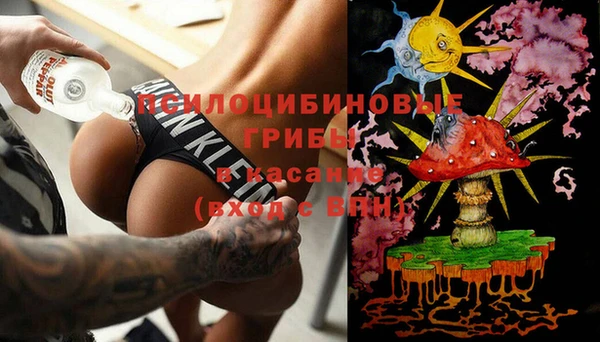 a pvp Алексин
